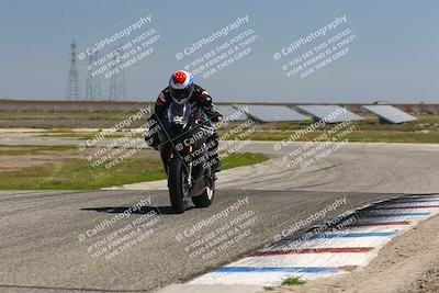 media/Mar-24-2025-2WTD (Mon) [[55b4b08488]]/B Group/1220pm (Wheelie Bump)/
